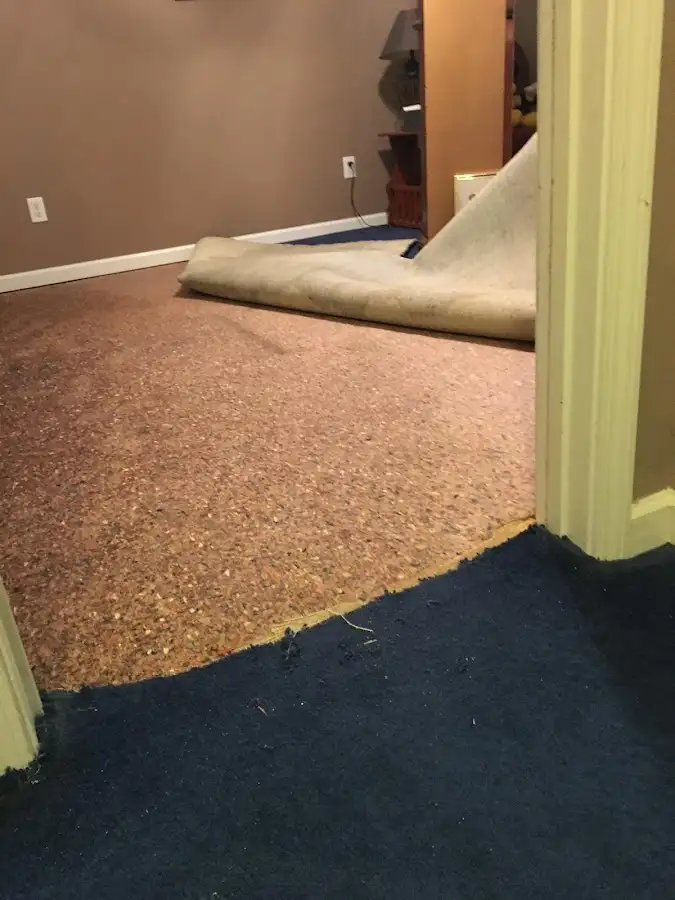 Carpet pad removal revealing water damage during Water Mitigation Services in Homeland Park