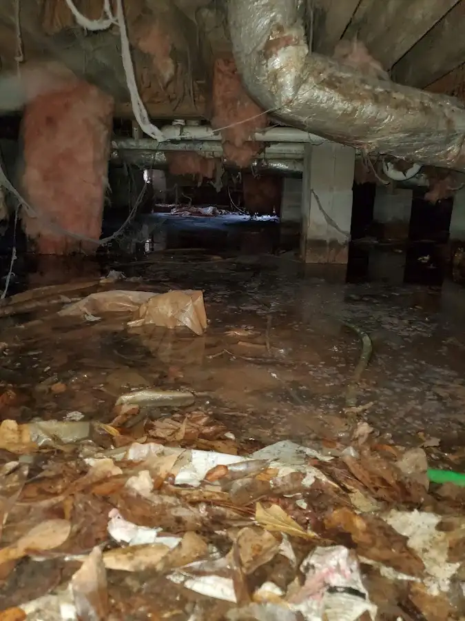 Crawl space flood assessment for Commercial Water Damage Restoration in Homeland Park